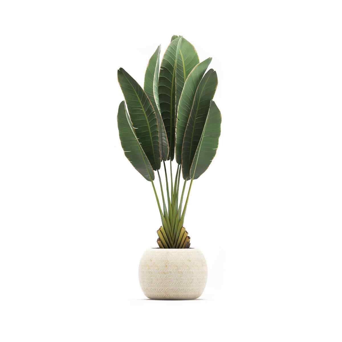 https://www.giardino.toscana.it/wp-content/uploads/2018/09/product_06.jpg