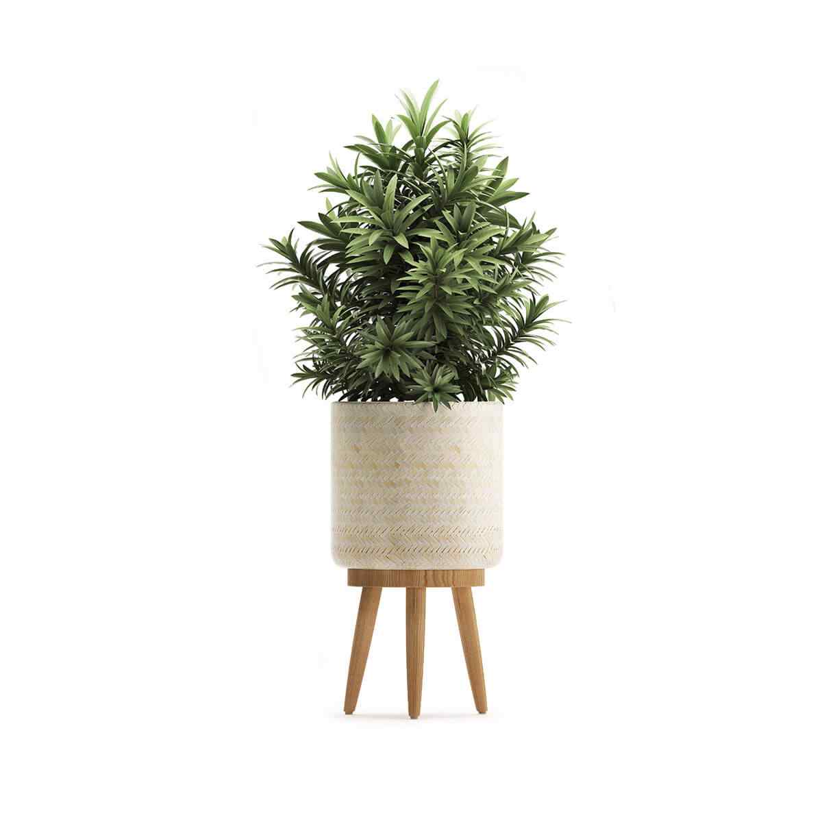 https://www.giardino.toscana.it/wp-content/uploads/2018/09/product_07.jpg