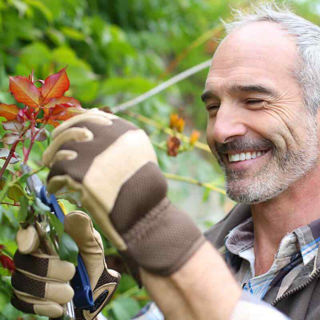 https://www.giardino.toscana.it/wp-content/uploads/2019/02/team_02-640x640.jpg