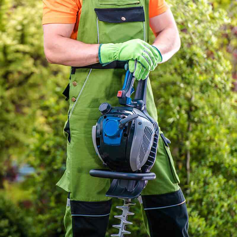 https://www.giardino.toscana.it/wp-content/uploads/2019/08/home_4_services.jpg