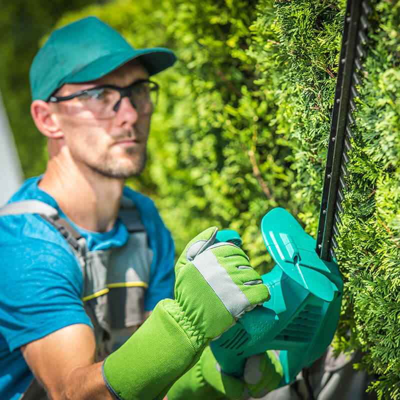 https://www.giardino.toscana.it/wp-content/uploads/2019/08/team_05.jpg