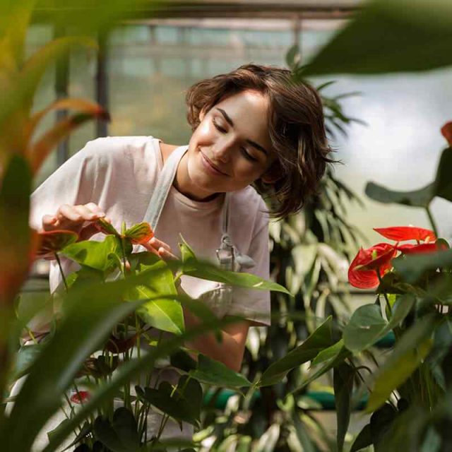 https://www.giardino.toscana.it/wp-content/uploads/2019/08/team_06-640x640.jpg