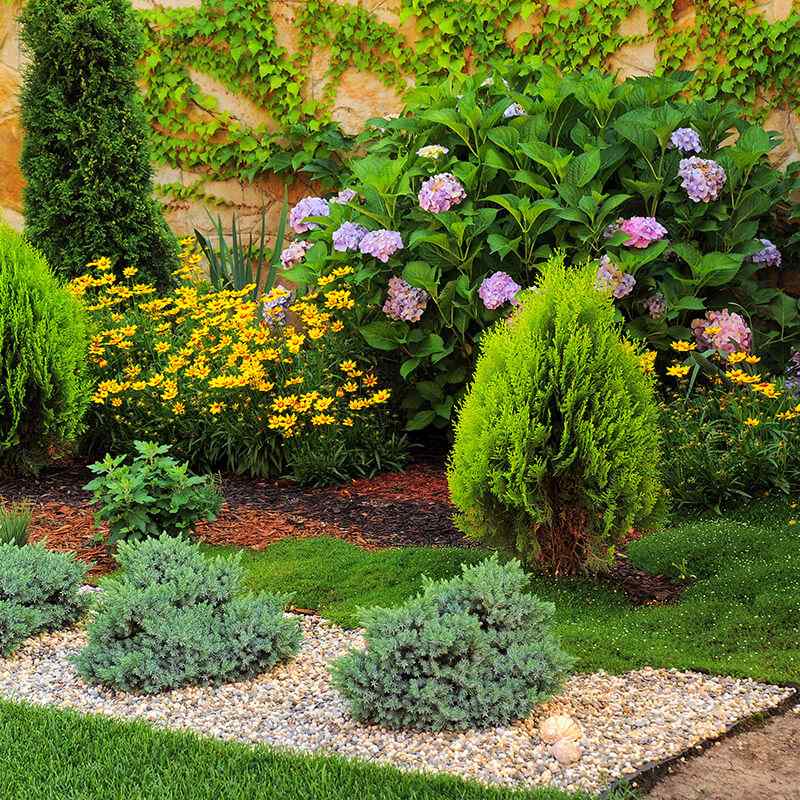 https://www.giardino.toscana.it/wp-content/uploads/2019/09/card_07.jpg