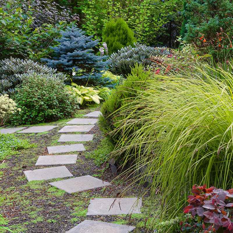 https://www.giardino.toscana.it/wp-content/uploads/2019/09/card_12.jpg
