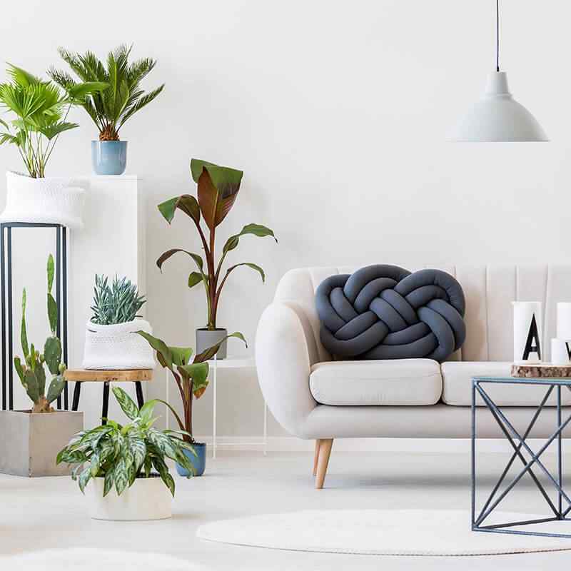 https://www.giardino.toscana.it/wp-content/uploads/2019/09/card_14.jpg