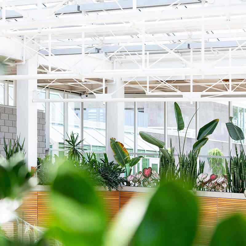 https://www.giardino.toscana.it/wp-content/uploads/2019/09/card_15.jpg