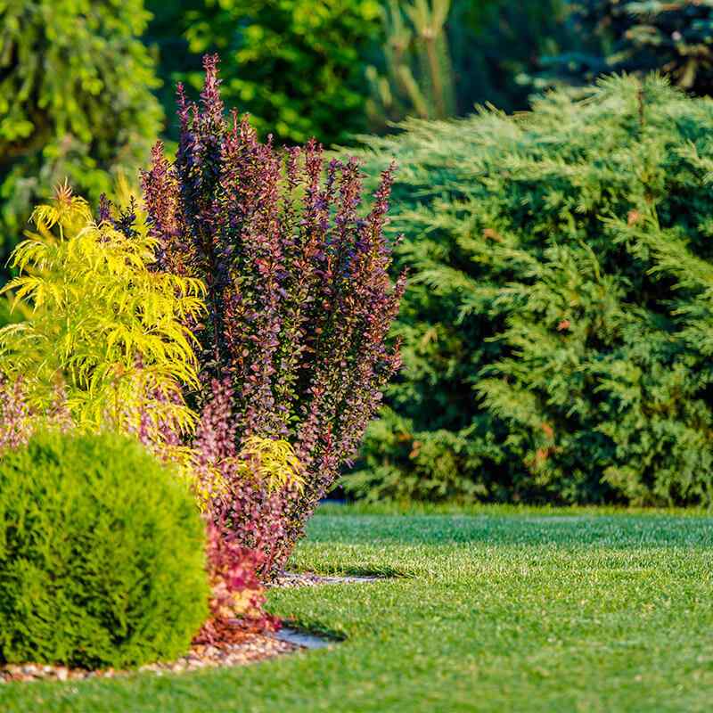 https://www.giardino.toscana.it/wp-content/uploads/2019/09/card_17.jpg