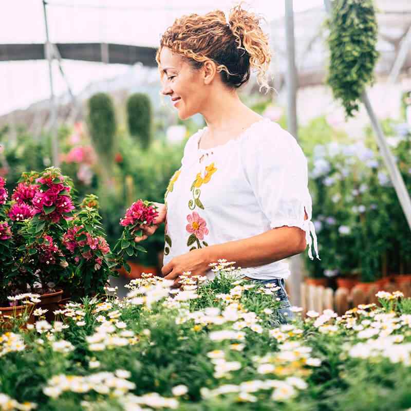 https://www.giardino.toscana.it/wp-content/uploads/2019/09/card_24.jpg