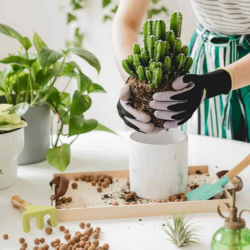 https://www.giardino.toscana.it/wp-content/uploads/2019/09/card_26.jpg