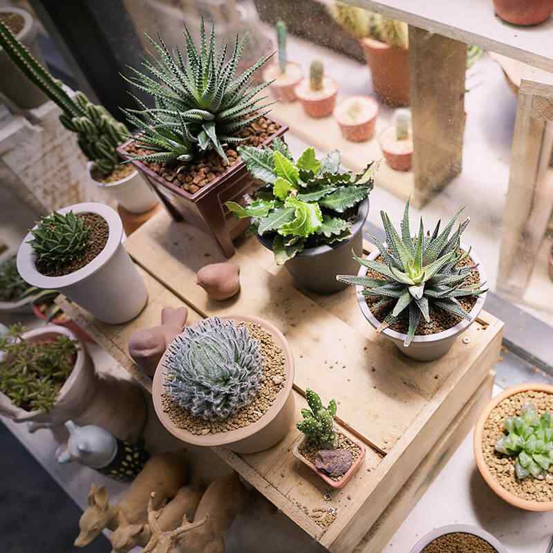 https://www.giardino.toscana.it/wp-content/uploads/2019/09/card_28.jpg