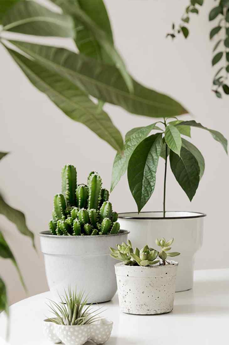 https://www.giardino.toscana.it/wp-content/uploads/2019/10/inner_quote.jpg