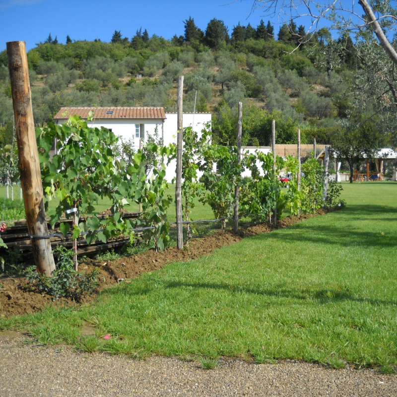 https://www.giardino.toscana.it/wp-content/uploads/2025/05/2-1-1.png