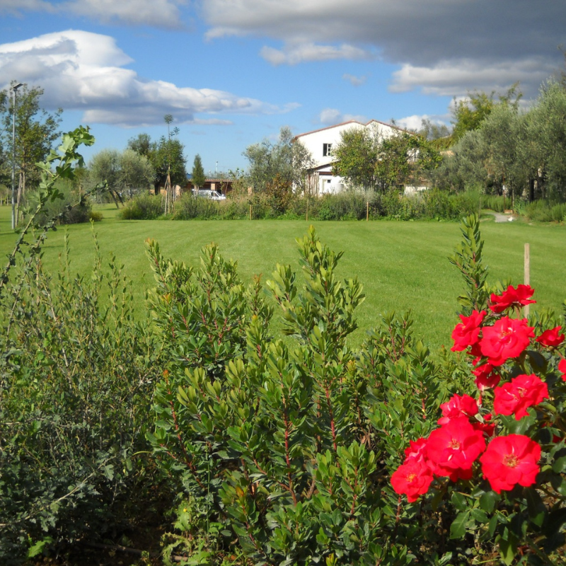 https://www.giardino.toscana.it/wp-content/uploads/2025/05/3-1.png