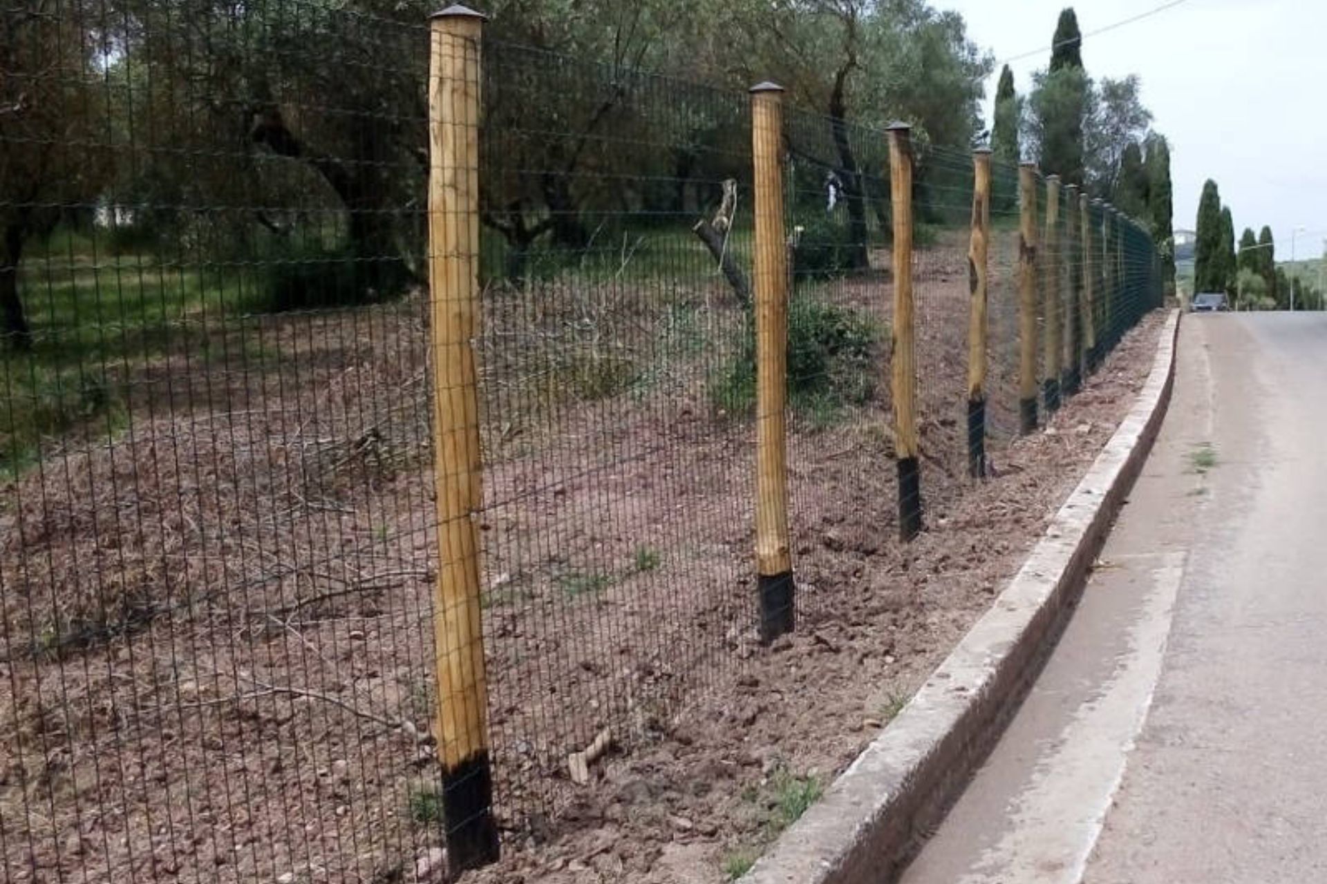 https://www.giardino.toscana.it/wp-content/uploads/2025/06/Giardini-Home-Page-1.jpg