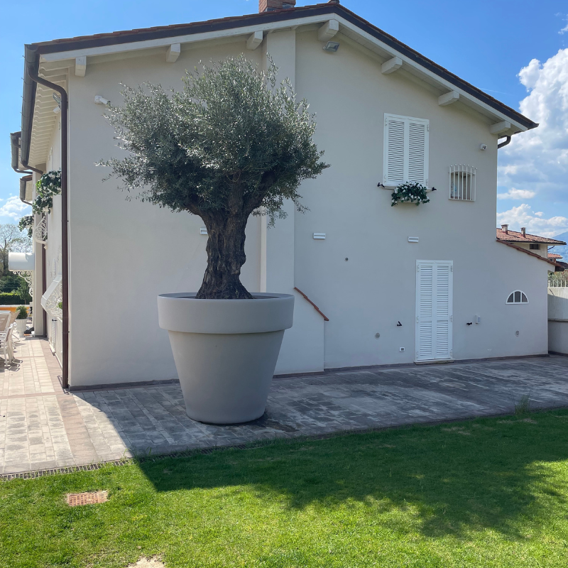 https://www.giardino.toscana.it/wp-content/uploads/2025/06/home-page-4.png