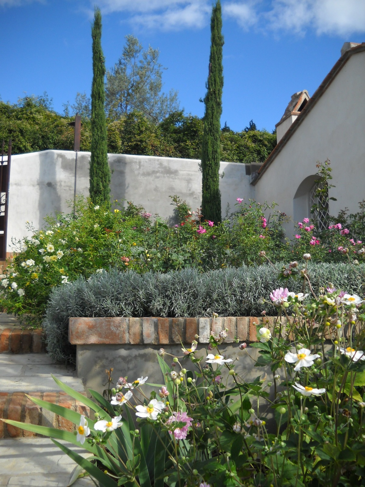 https://www.giardino.toscana.it/wp-content/uploads/2025/08/realizzazioe-giardini-5-.jpeg