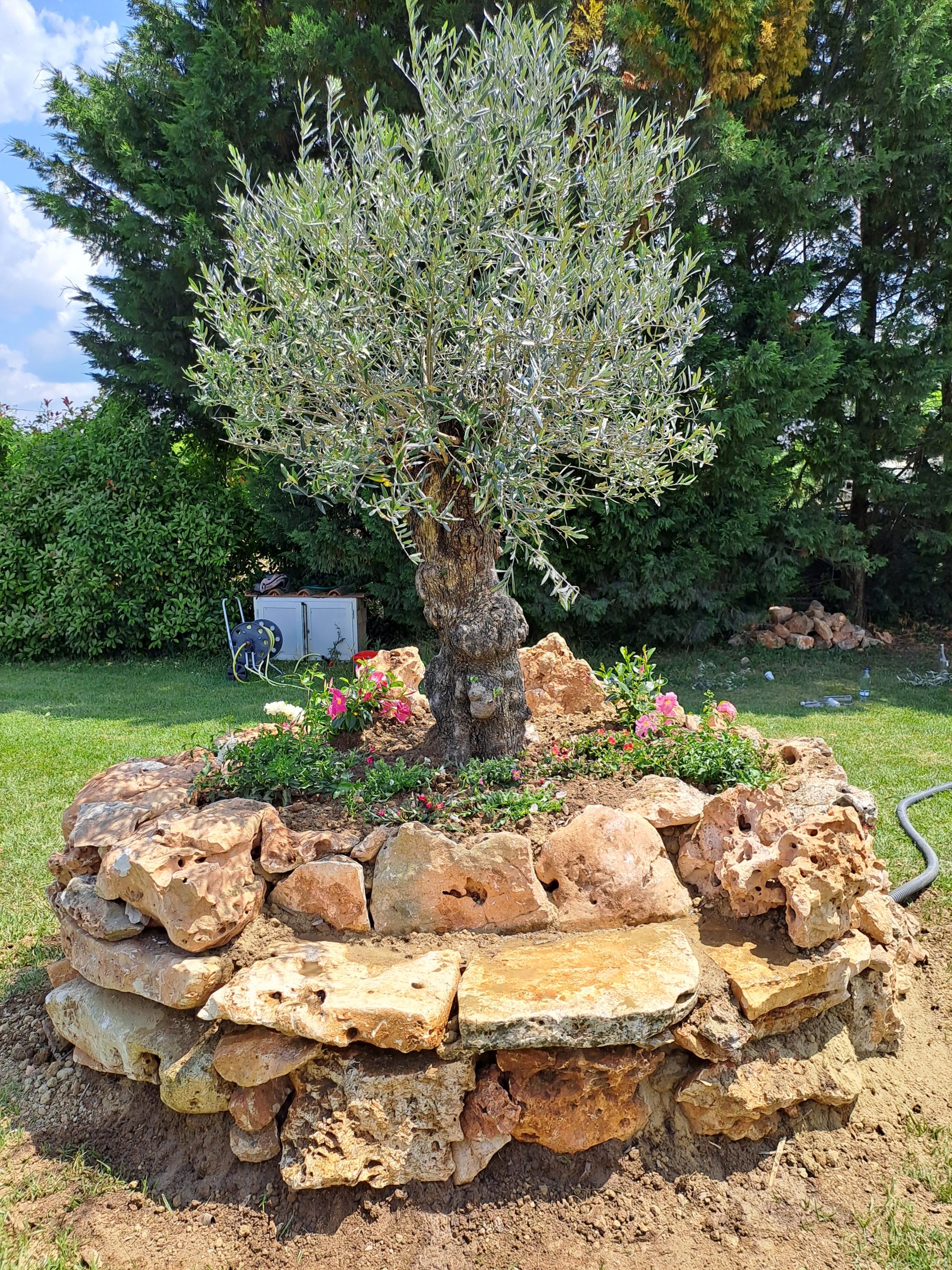 https://www.giardino.toscana.it/wp-content/uploads/2025/08/realizzazione-giardini--scaled.jpg