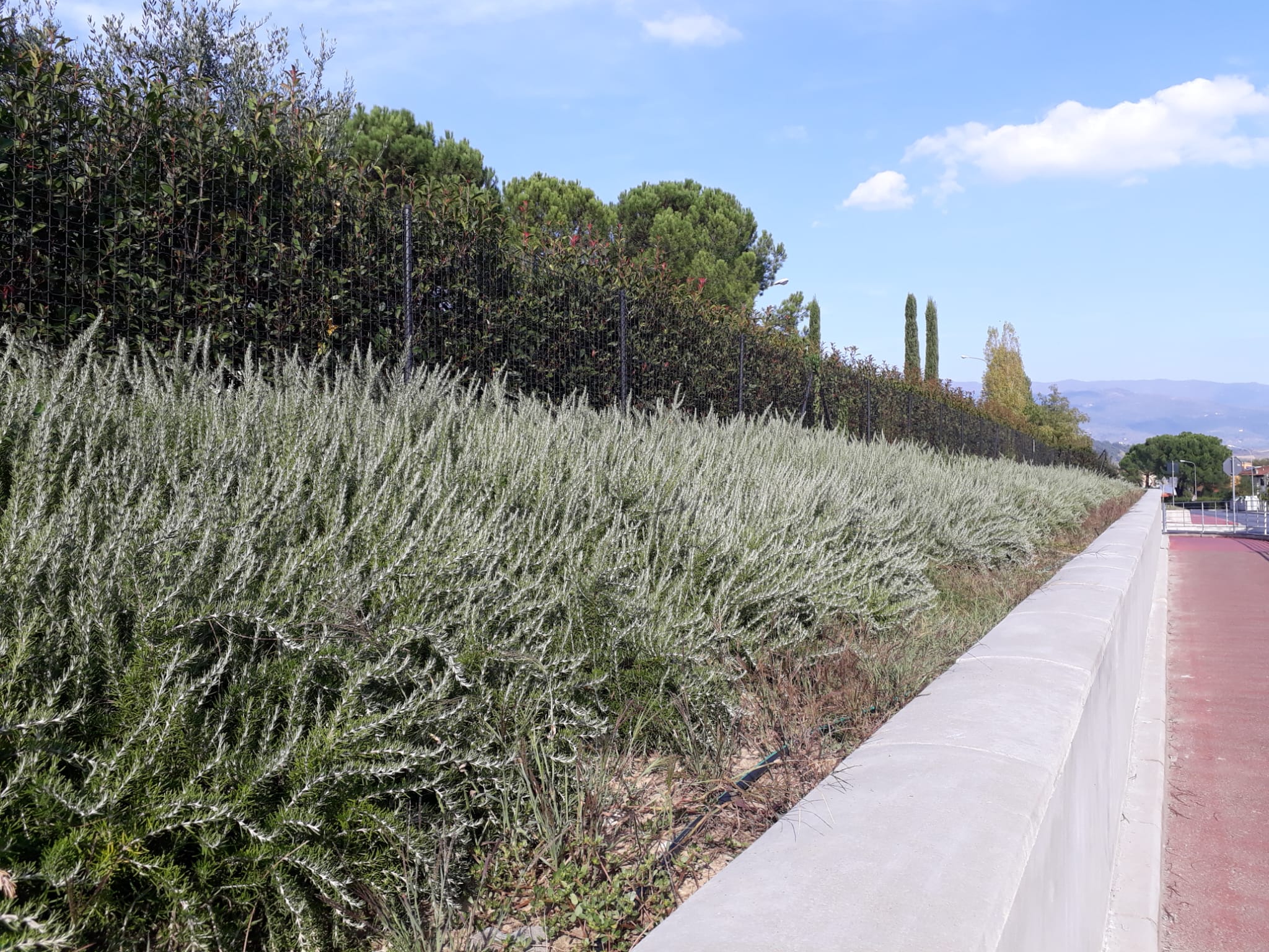 https://www.giardino.toscana.it/wp-content/uploads/2025/09/0141a622-fd57-45fb-ae48-82e55beefcce-2.jpg