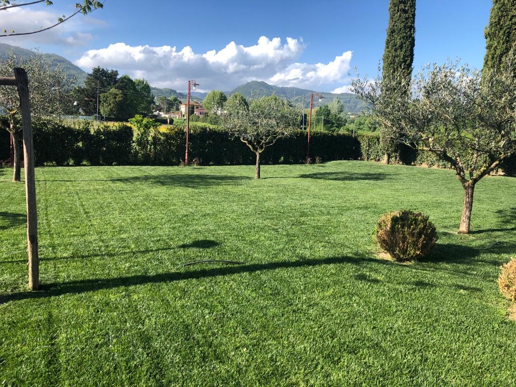 https://www.giardino.toscana.it/wp-content/uploads/2025/09/34f5d729-dde5-4edb-af50-3bff0fa1ae97-3.jpg