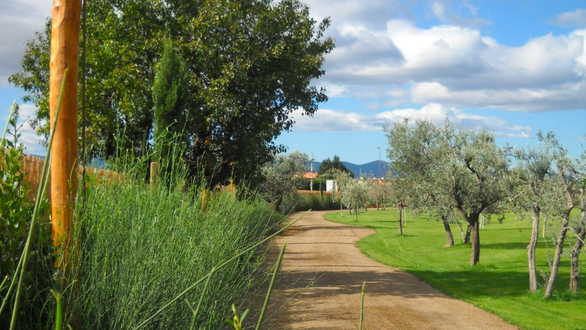 https://www.giardino.toscana.it/wp-content/uploads/2025/09/Realizzazione-Strada-e-bordure-laterali-a-Prato.png