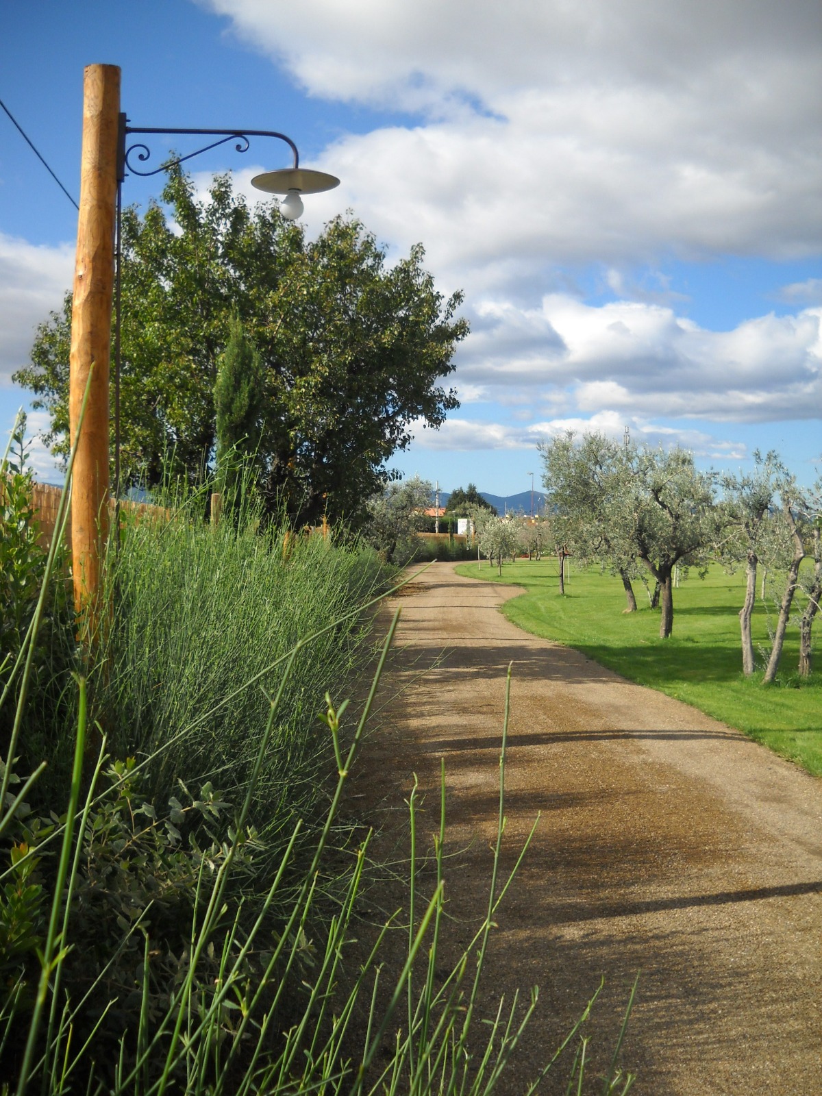 https://www.giardino.toscana.it/wp-content/uploads/2025/09/strad.jpeg