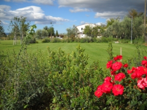 realizzazione giardini Toscana