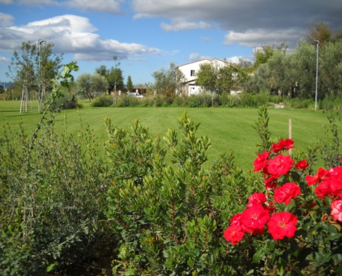 realizzazione giardini Toscana
