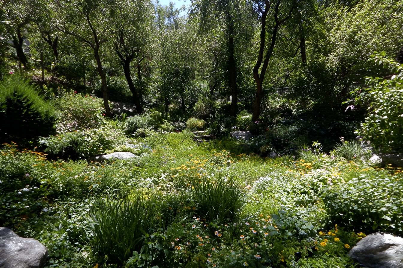 realizzazione giardini Toscana