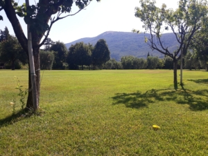 realizzazione giardini Toscana